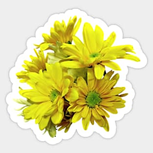 Daisies - Yellow Daisies Sticker